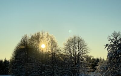 Naturen
